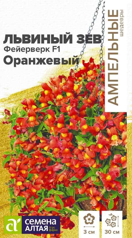 Львинный зев фейерверк оранжевый
