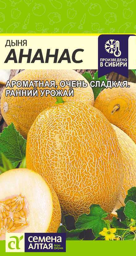 Дыня Ананас