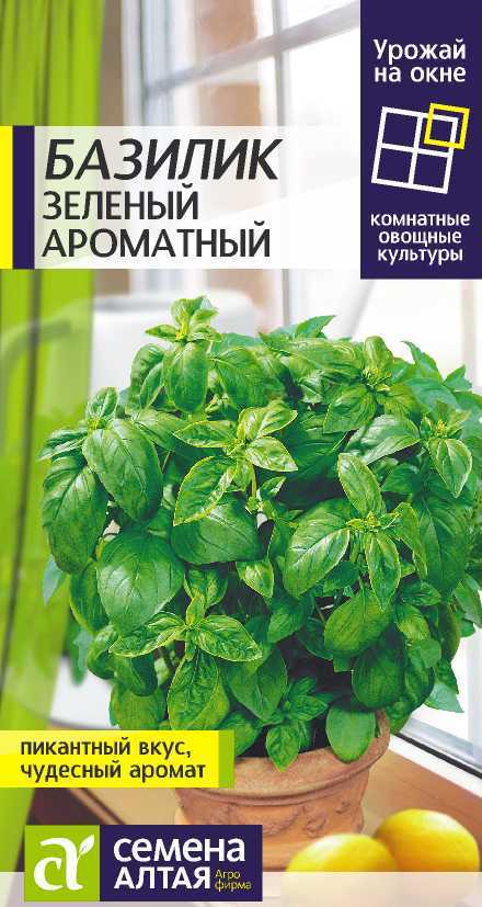 Базилик Ароматный Урожай на грядке