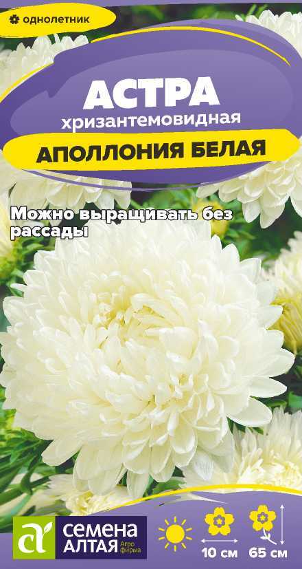 00010041324