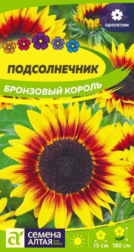 00010040359