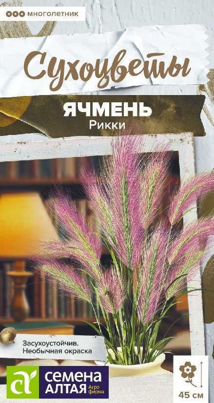 Ячмень
