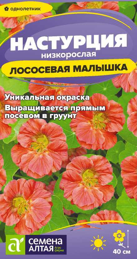 Настурция Лососевая малышка