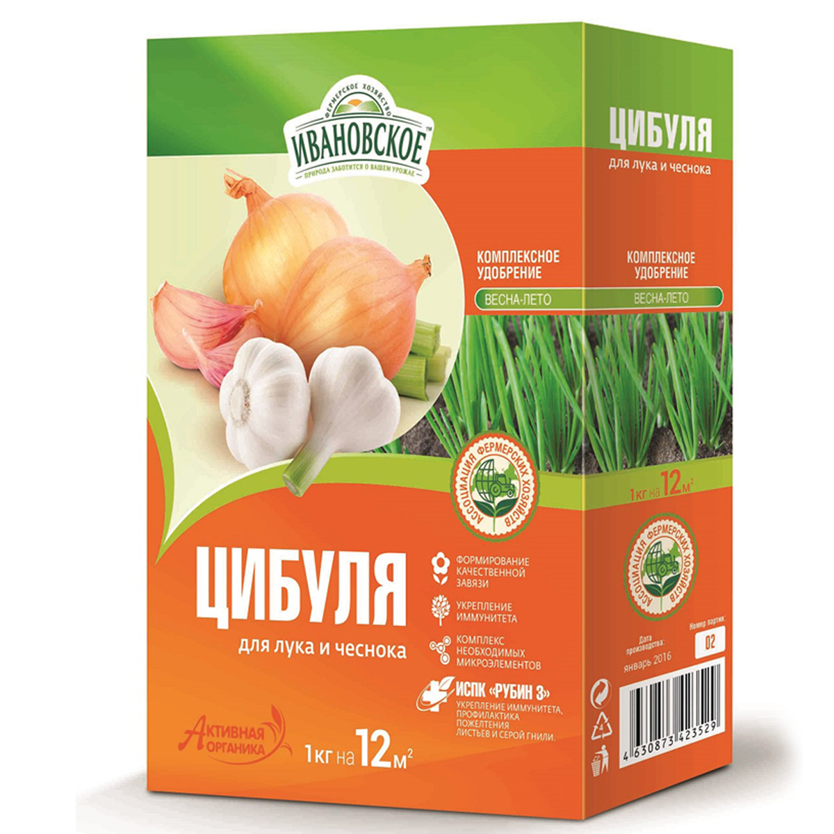 cibulya