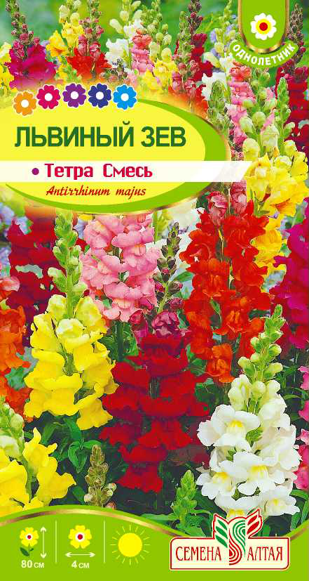 Львиный зев Тетра смесь