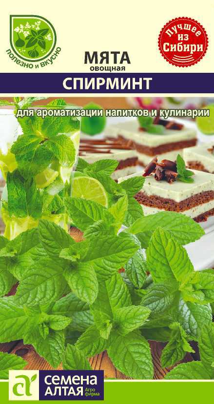 Мята спирминт