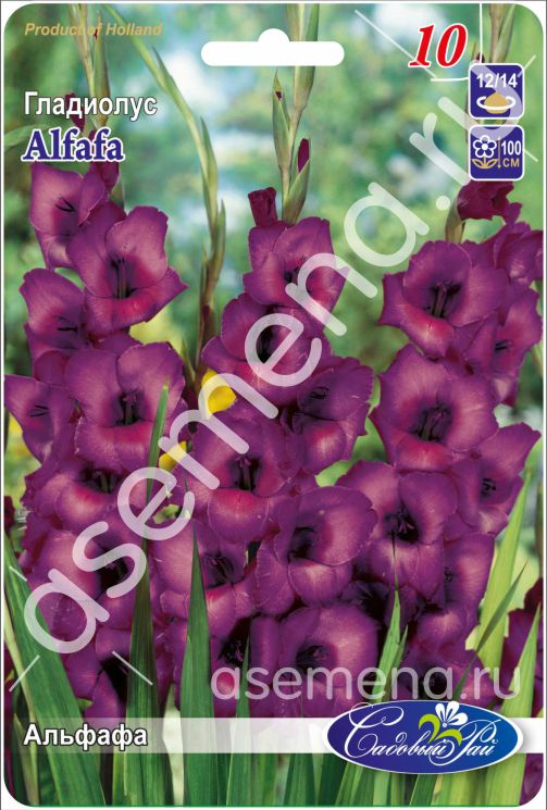 Альфафа