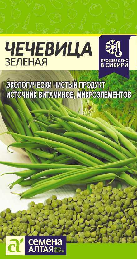Чечевица зеленая