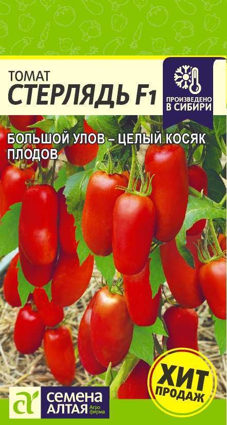 Стерлядь