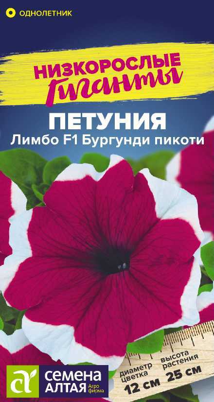 Петуния лимбо бургунди пикоти
