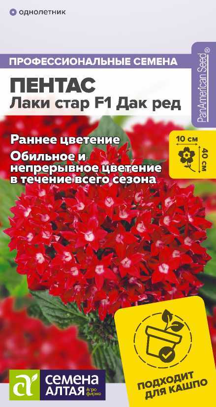 pentas-dark-red