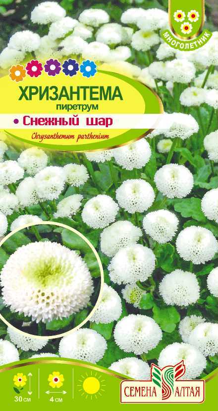 Снежный шар