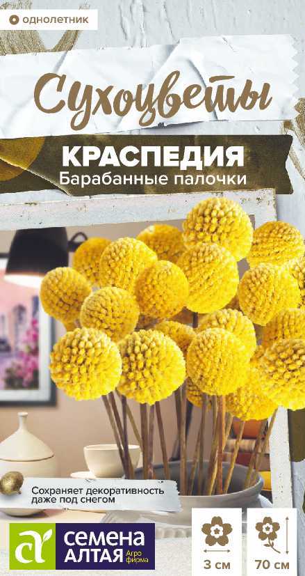 Краспедия