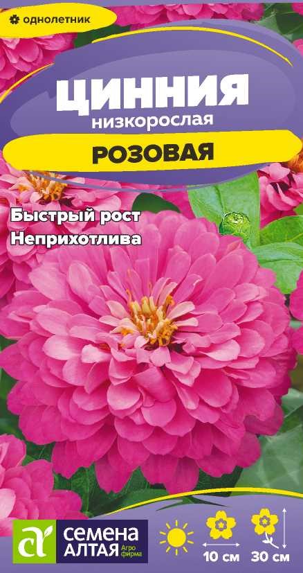 Цинния розовая низкорослая