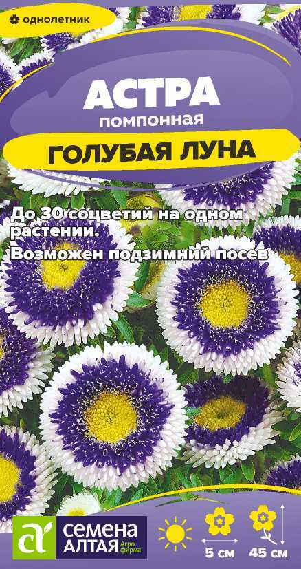 00-00033975