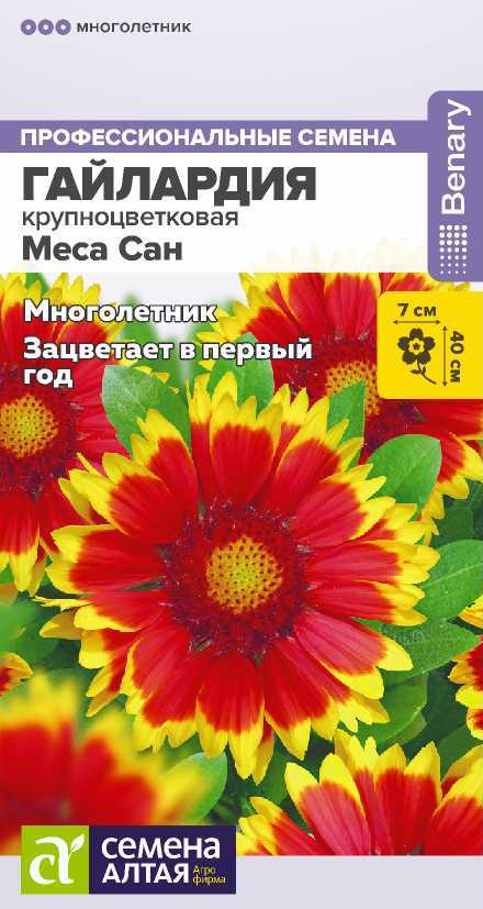 gailardiya-mesa-san