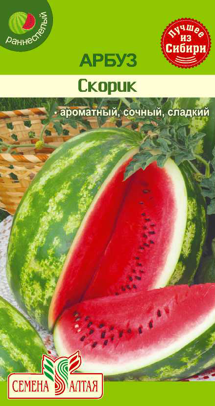 Скорик