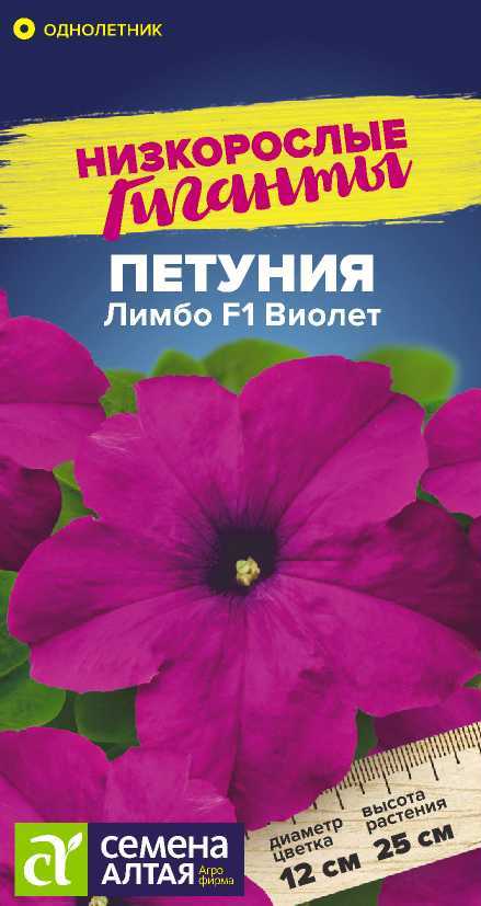 Петуния лимбо виолет