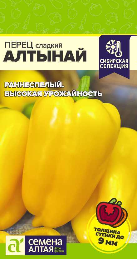 00-00033376