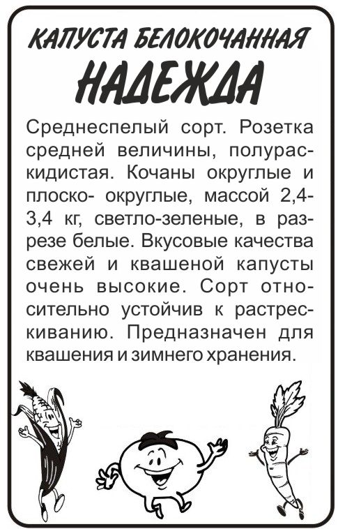 Надежда бп