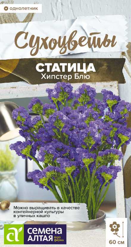 Статица Хипстер блю