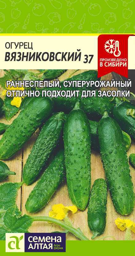 Вязниковский цп