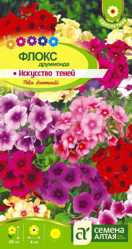 Искусство теней цп
