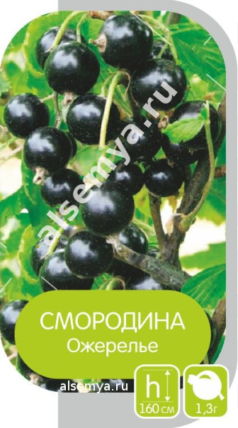 Ожерелье