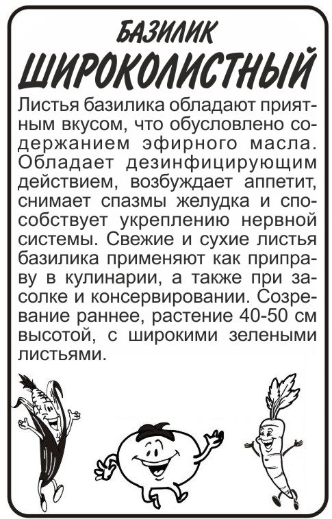 Базилик широколистный бп