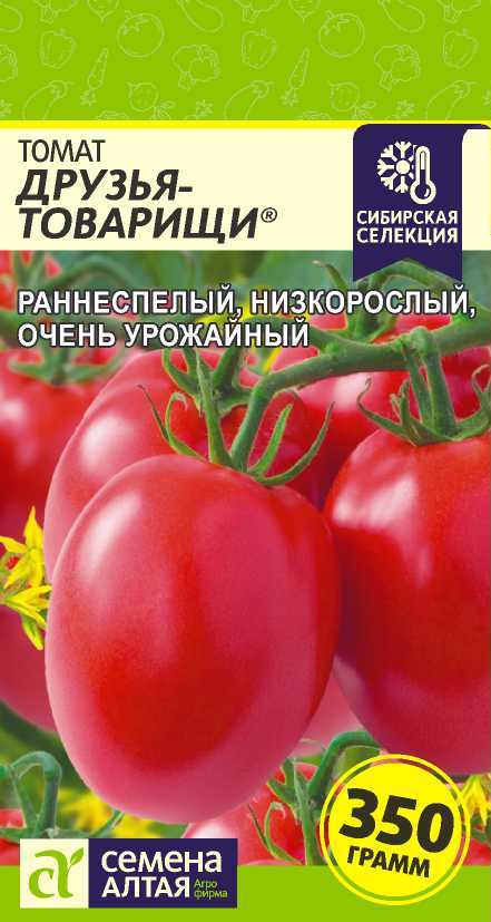 00-00022331