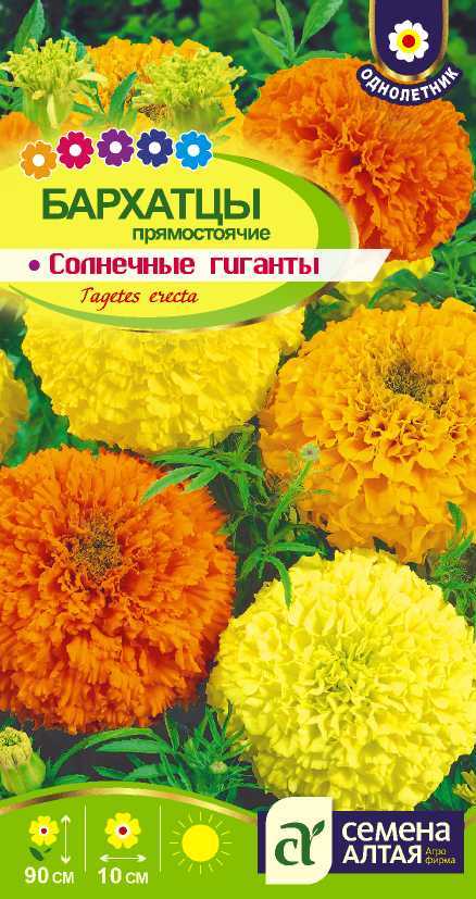 Солнечные гиганты цп
