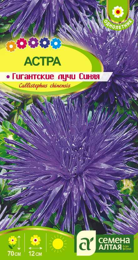 Гигантские лучи синяя цп