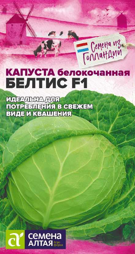 00-00035616