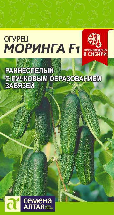 Моринга цп
