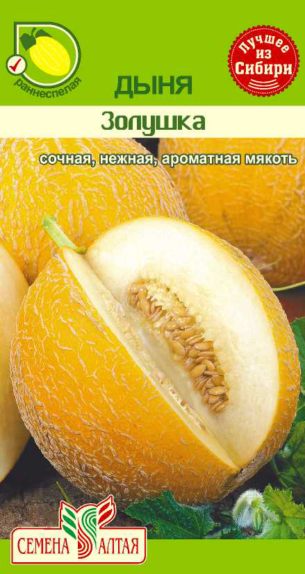Золушка
