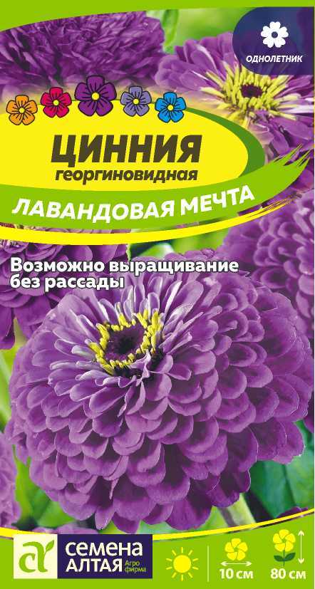 Лавандрвая мечта
