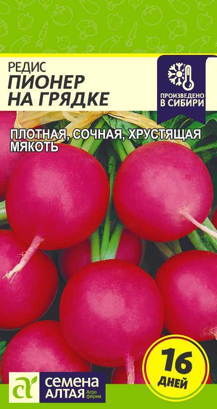 Пионер цп