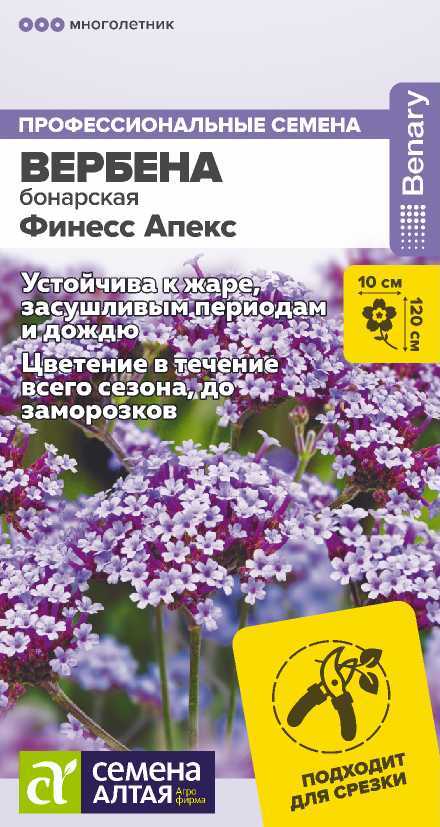 verbena-finess-aleks