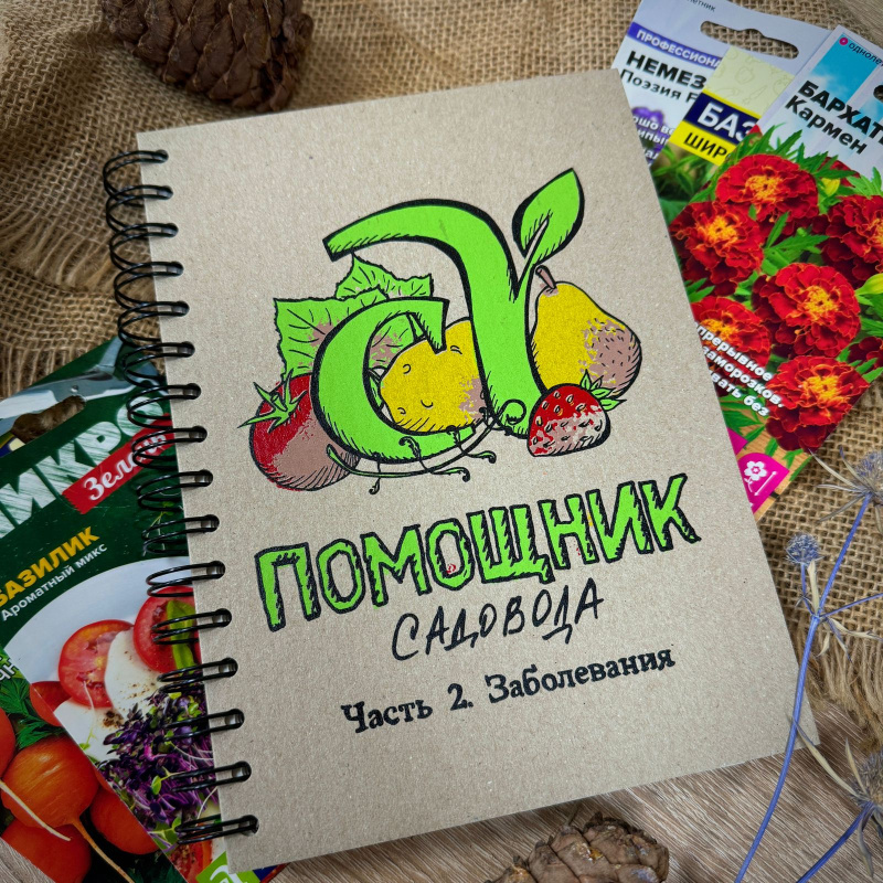 bloknot-pomoshnik-zabolevaniya