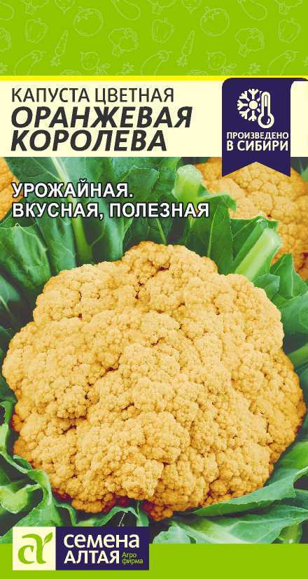 Оранжевая королева