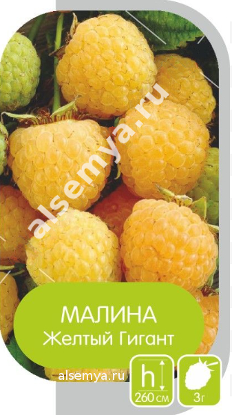 Желтый гигант