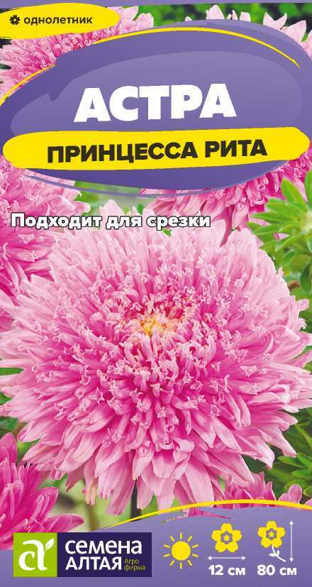 00010017549