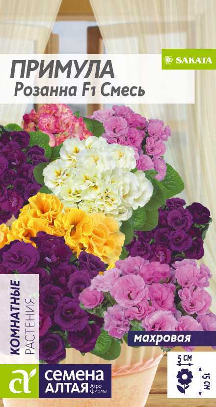 Примула Розанна Смесь цп
