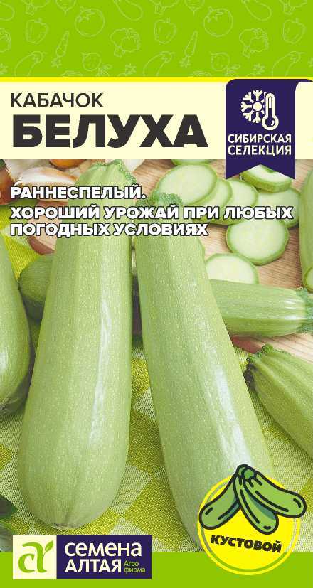 00-00004164