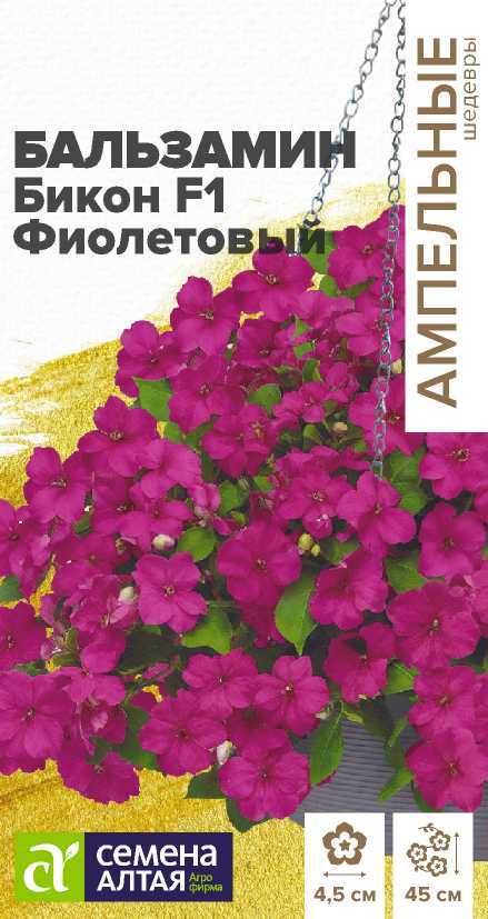 Бальзамин Бикон фиолетовый
