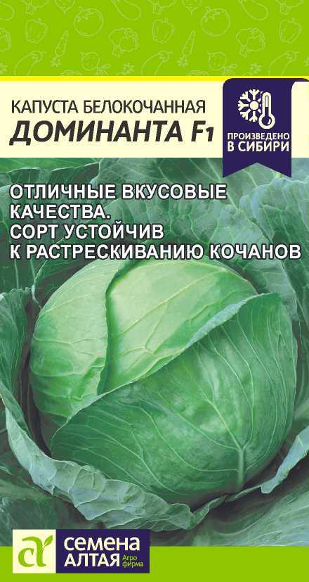 Доминанта2