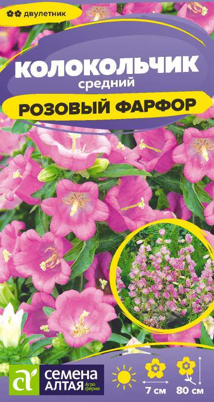 Колокольчик Розовый фарфор