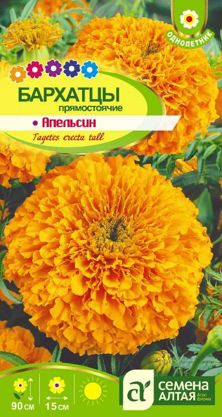 Апельсин цп