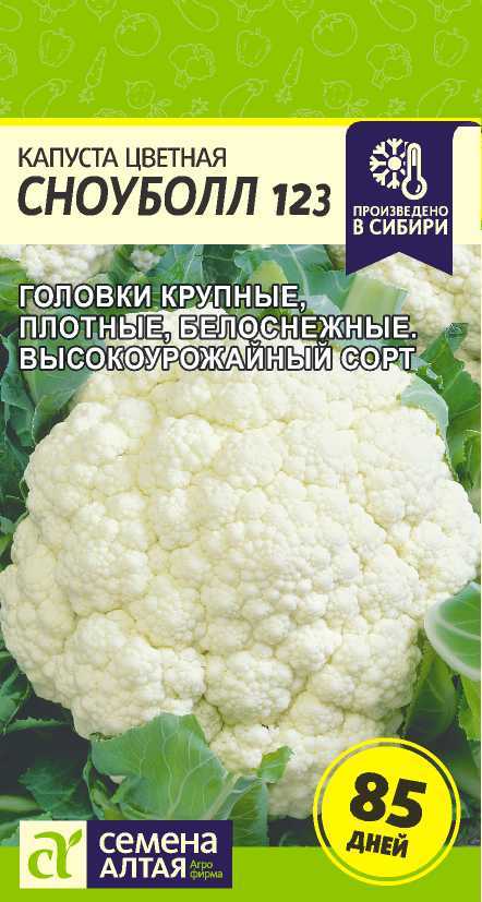 00010016119