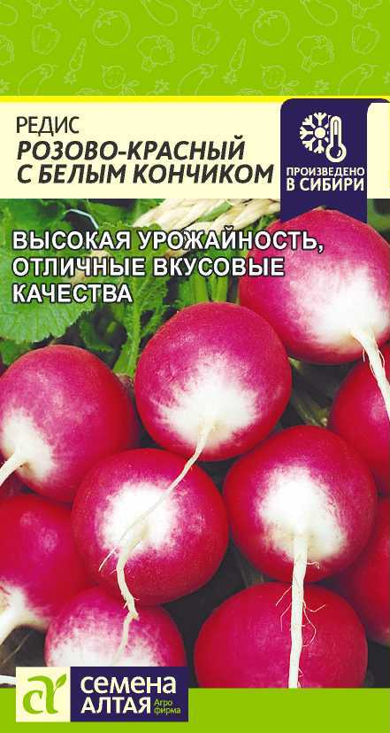 00010024857